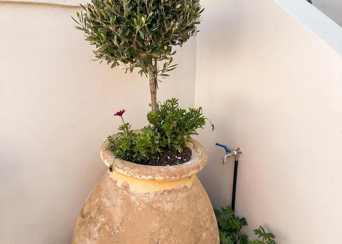 Διαμέρισμα Arbarorisa Traditional *