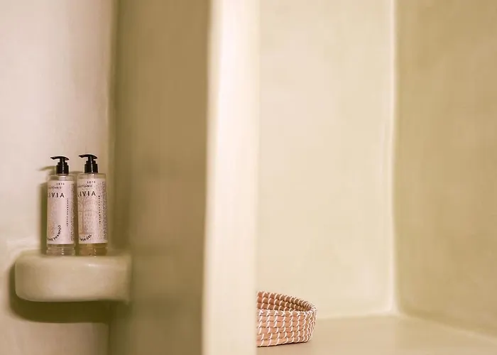 Arbarorisa Traditional