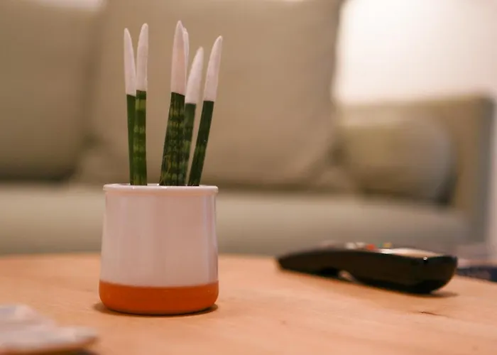 Arbarorisa Traditional